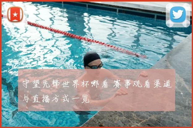 守望先锋世界杯哪看 赛事观看渠道与直播方式一览