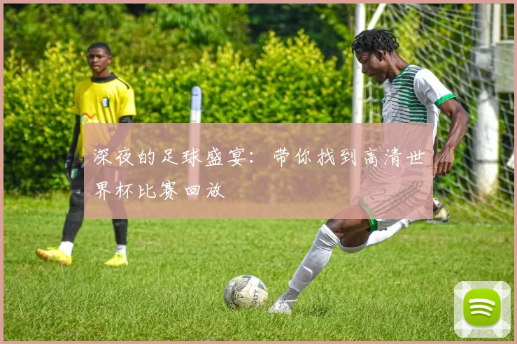 深夜的足球盛宴：带你找到高清世界杯比赛回放
