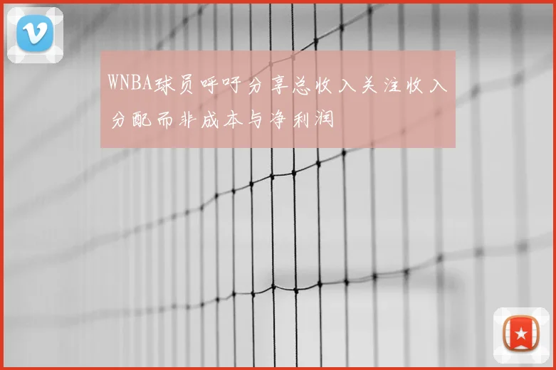 WNBA球员呼吁分享总收入关注收入分配而非成本与净利润