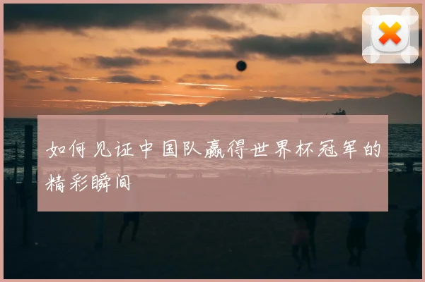 如何见证中国队赢得世界杯冠军的精彩瞬间