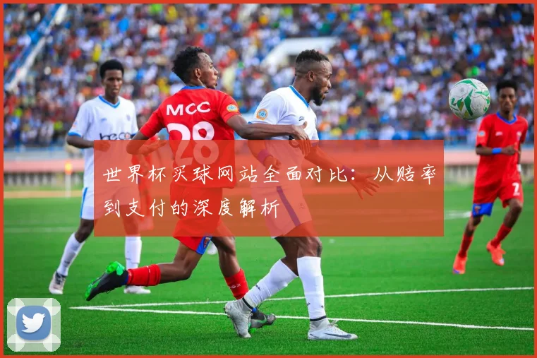 世界杯买球网站全面对比：从赔率到支付的深度解析