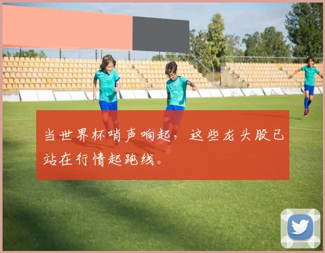当世界杯哨声响起，这些龙头股已站在行情起跑线。