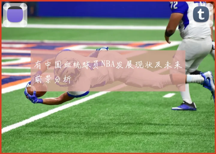有中国血统球员NBA发展现状及未来前景分析