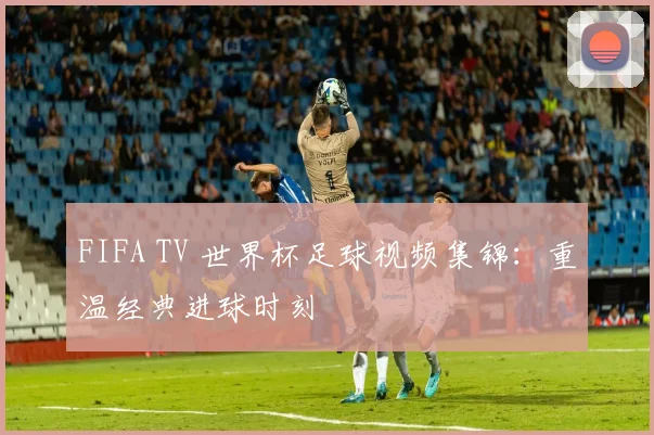 FIFA TV 世界杯足球视频集锦：重温经典进球时刻