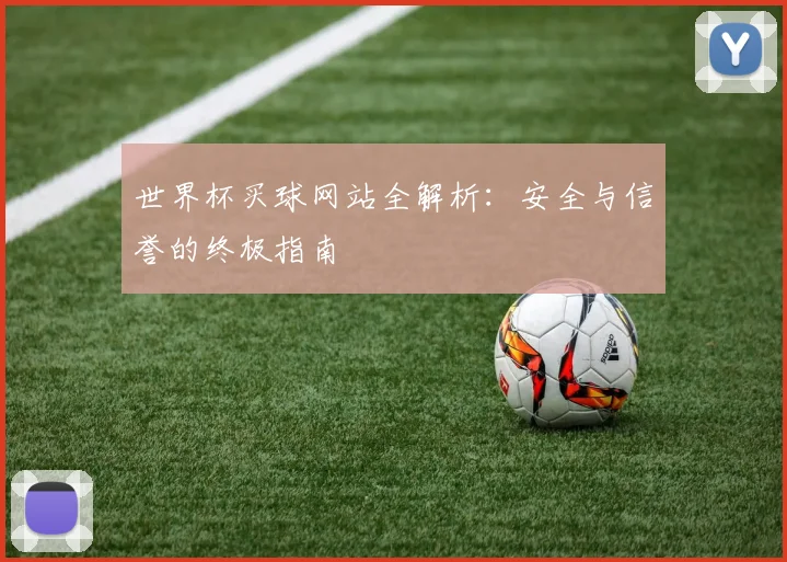 世界杯买球网站全解析：安全与信誉的终极指南