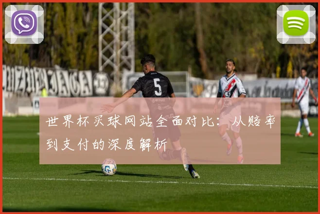 世界杯买球网站全面对比：从赔率到支付的深度解析